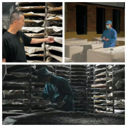 韩国总统李在明访华，走进韩国制茶人金容纹20多年的中华情缘与全球梦近日